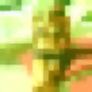 Photo privée de Porn, 22 ans à Antony - plan discret