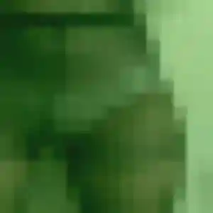 Siriporn (24 ans) à Chalon-sur-Saône cherche un rencontre japonaise rapidement