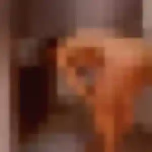 Rejoins Dung, 26 ans à Chelles en privé