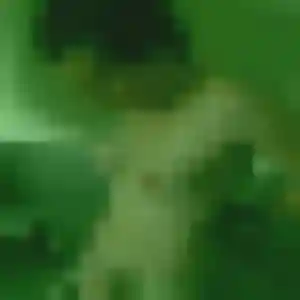 Linh, femme de 31 ans propose rencontre japonaise à Combs-la-Ville