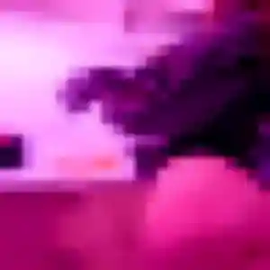 Photo perso de Tsubaki, 42 ans à Dembeni - rencontre sans lendemain