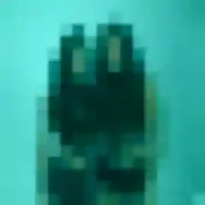 Profil de Sumire à Dijon (41 ans) - rencontre japonaise anonyme