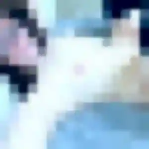Eun-Hye de Douai, 34 ans - rencontre japonaise sans prise de tête