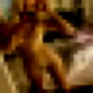 Da-Yeon, 27 ans, connectée à Fougères pour un rencontre japonaise