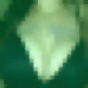 Rejoins Rin, 37 ans à Guérande en privé