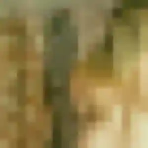 Vy, femme de 38 ans cherche rencontre japonaise à Guidel
