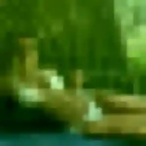 Photo de Busaba à Gujan-Mestras (33 ans) - rencontre japonaise discret