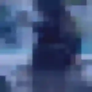Profil de Da-In à Halluin (31 ans) - rencontre japonaise discret