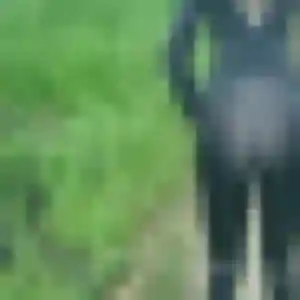 Sexy Tao, 35 ans à Ifs - la contacter