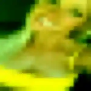 Photo exclusive de Azusa, 33 ans à Le Bourget - rencontre sans lendemain