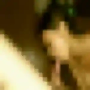 Miao, femme de 26 ans propose rencontre japonaise à Lens