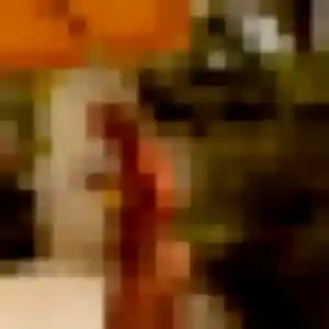 Tip, femme de 26 ans veut rencontre japonaise à Loire-Authion