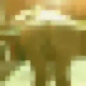 Pim, 33 ans, en ligne à Lunel pour un rencontre japonaise