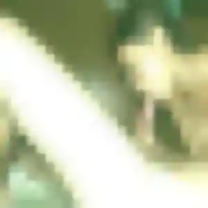 Photo perso de Ratana, 28 ans à Marignane - rencontre coquine
