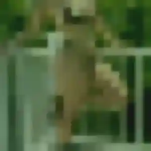 Chantrea, femme de 33 ans cherche rencontre japonaise à Mende