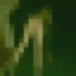 So-Hee, 37 ans, cherche un rencontre japonaise à Montigny-lès-Metz
