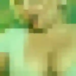 Photo exclusive de Yan, 41 ans à Neuilly-sur-Marne - rencontre sans lendemain