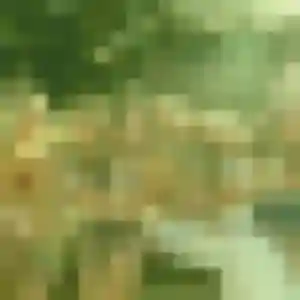 Tevy de Noisiel, 43 ans - rencontre japonaise discret