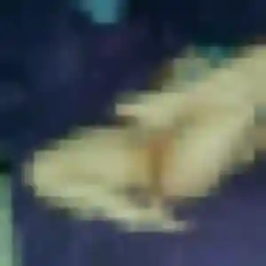 Photo exclusive de Sumire, 32 ans à Périgueux - plan discret