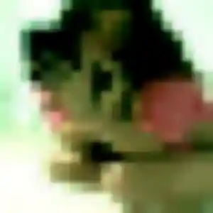 Josefina (39 ans) à Plaisance-du-Touch propose un rencontre japonaise rapidement