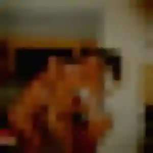 Contacte Chantrea, 45 ans à Poitiers en privé
