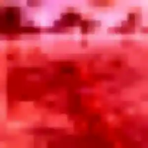 Bo (42 ans) à Pontault-Combault cherche un rencontre japonaise rapidement