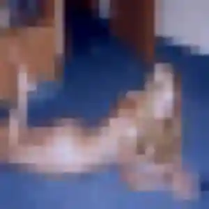 Rencontre Thuy-Linh, 23 ans à Ramonville-Saint-Agne en privé