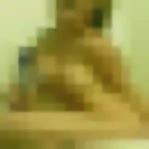 Araya, 35 ans, dispo pour rencontre japonaise à Rennes
