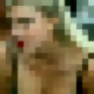 Photo sexy de Ji-Yeon, 36 ans à Rognac - rencontre sans lendemain