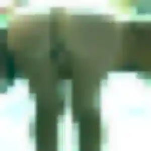 Sexy Hanh, 33 ans à Roquebrune-sur-Argens - découvrir son profil