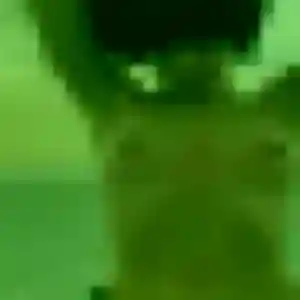 Découvre Thu, 39 ans à Saint-Amand-les-Eaux en privé