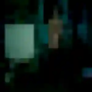 Photo de Sun-Hee à Saint-Fargeau-Ponthierry (25 ans) - rencontre japonaise anonyme