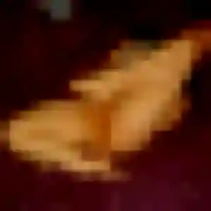 Eriko, fille de 22 ans cherche rencontre japonaise à Saint-Jean-de-Luz