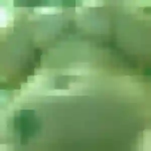 Tam, 37 ans, en ligne à Saint-Michel-sur-Orge pour un rencontre japonaise
