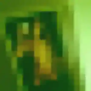 Profil de Orathai à Sainte-Geneviève-des-Bois (32 ans) - rencontre japonaise anonyme