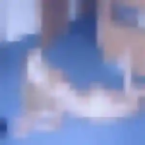 Bopha (39 ans) à Stiring-Wendel cherche un rencontre japonaise ce soir