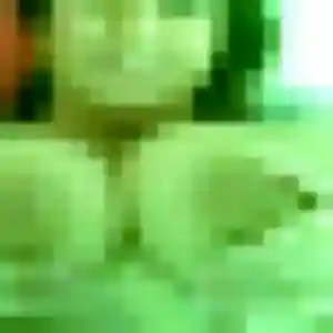 Carmela (29 ans) à Thiais cherche un rencontre japonaise ce soir