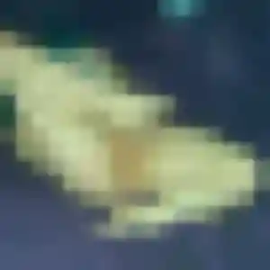 Bianca, 39 ans, cherche un rencontre japonaise à Toul