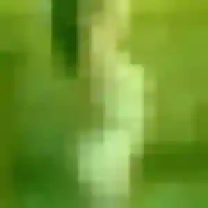 Phuong, femme de 27 ans cherche rencontre japonaise à Trets