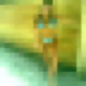 Photo de Malee à Vendôme (44 ans) - rencontre japonaise gratuit