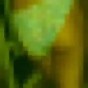Profil de Asami à Villebon-sur-Yvette (39 ans) - rencontre japonaise anonyme