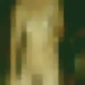 Rejoins Dong, 42 ans à Villecresnes en privé
