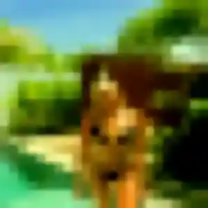 Angelica, 22 ans, en ligne à Villeneuve-lès-Avignon pour une rencontre coquine