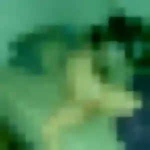 Photo exclusive de Hinata, 39 ans à Wasquehal - rencontre coquine