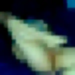 Photo privée de Bianca, 29 ans à Wattignies - plan discret