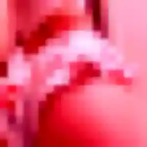 Panida, 36 ans, dispo pour rencontre japonaise à Wittenheim